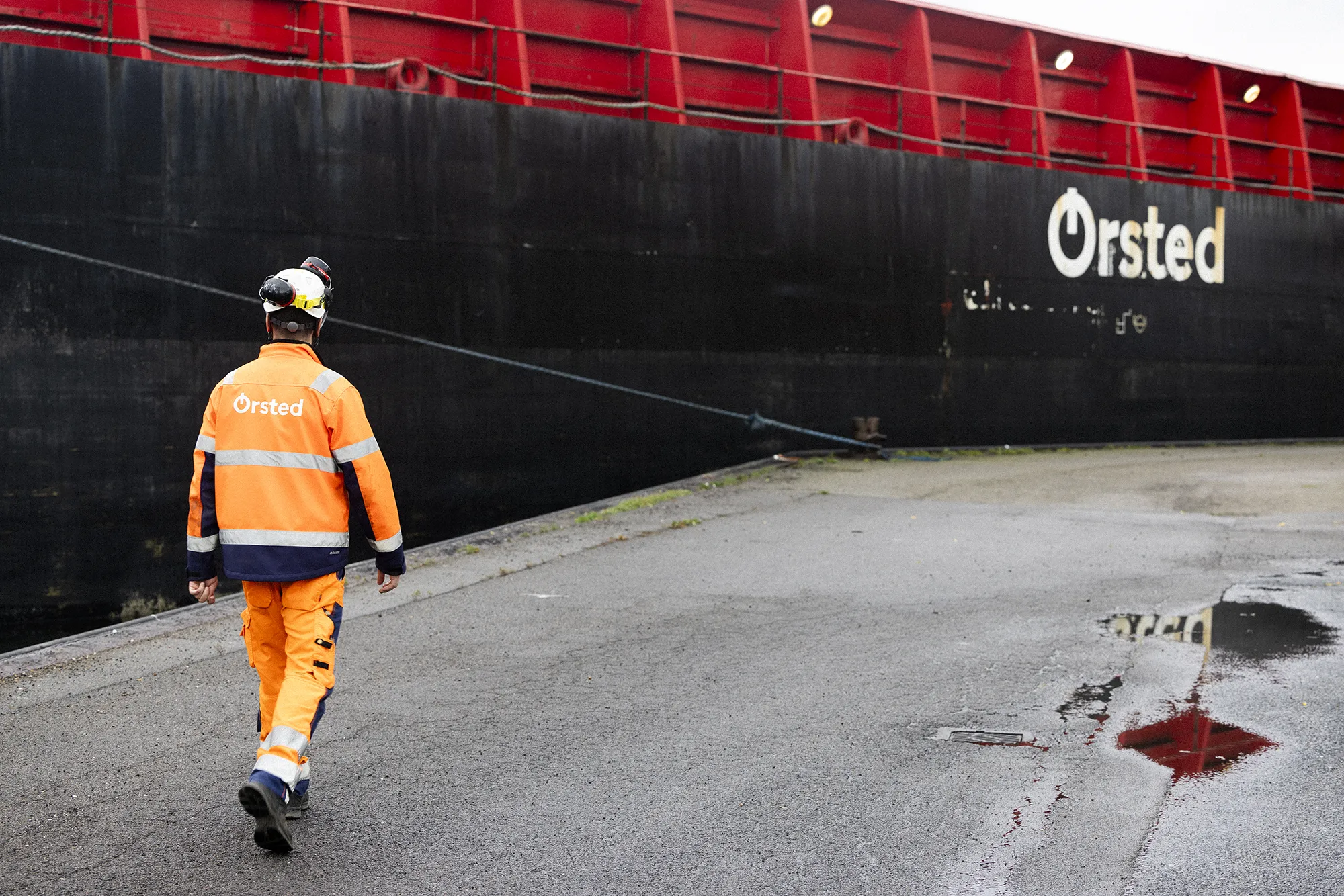 Picture of the author