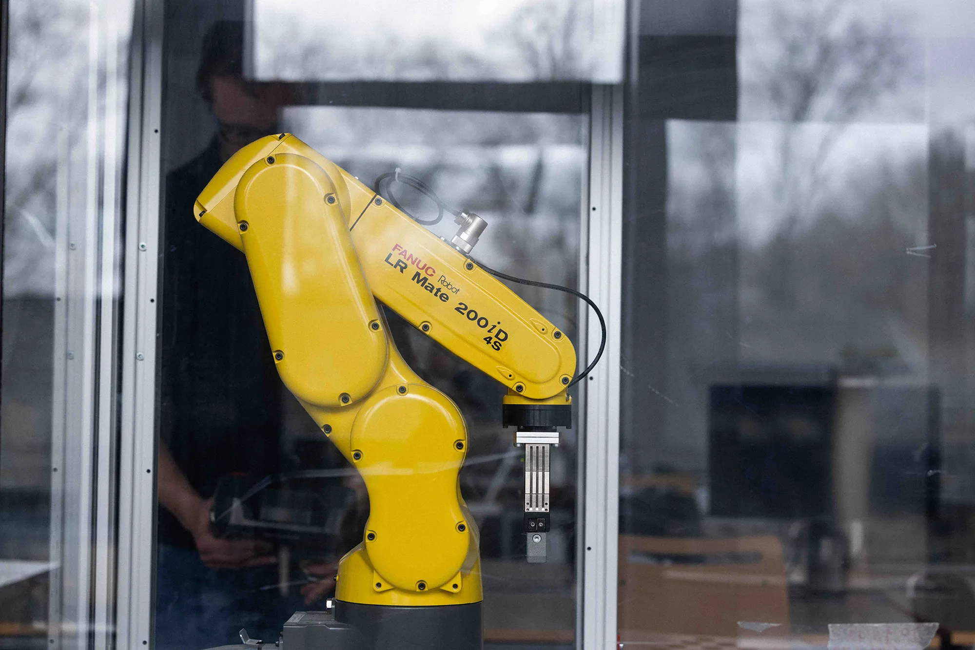 Picture of the author